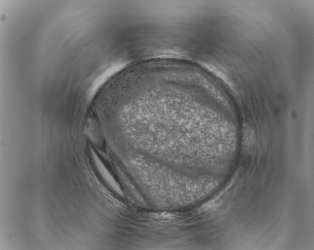 X0000088401317200706121225