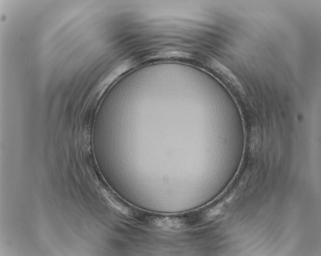 X0000088401321200706121225