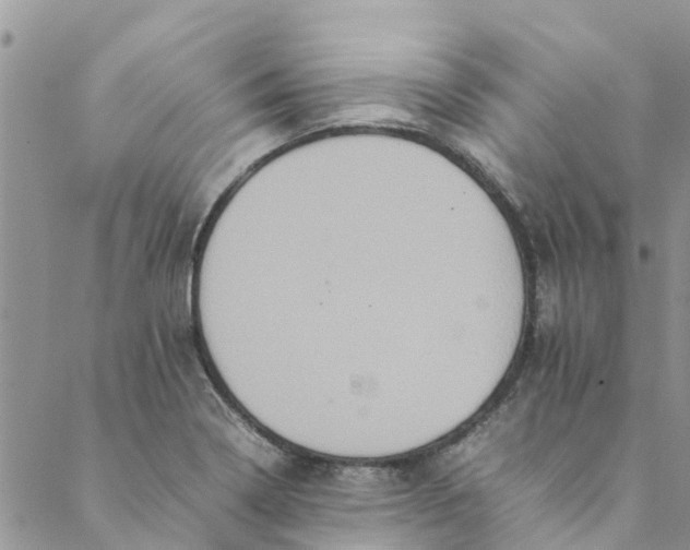 X0000088401322200706121225