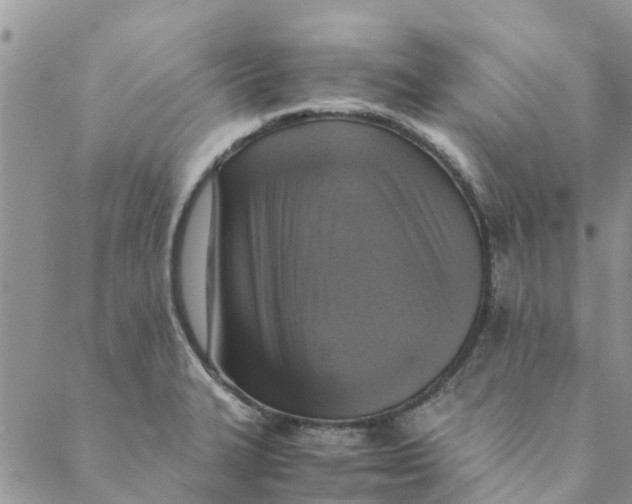 X0000088401327200706121225