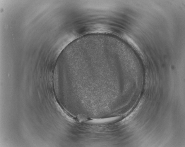 X0000088401329200706121225