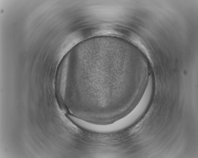 X0000088401330200706121225