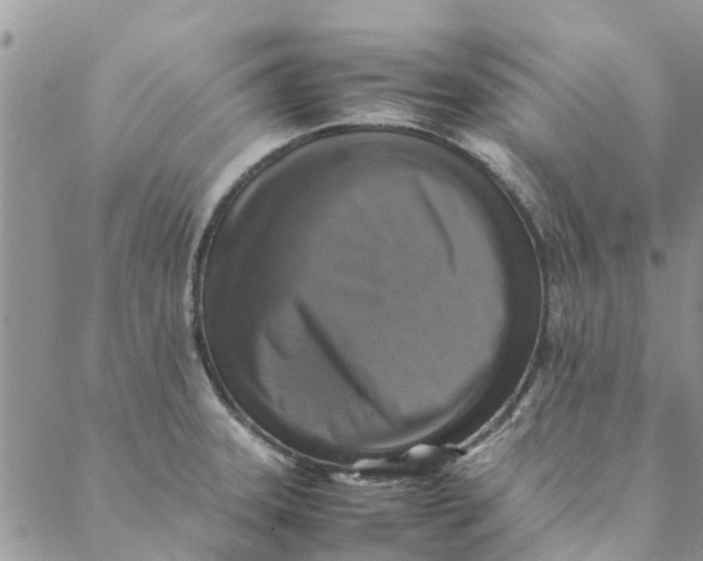 X0000088401331200706121225