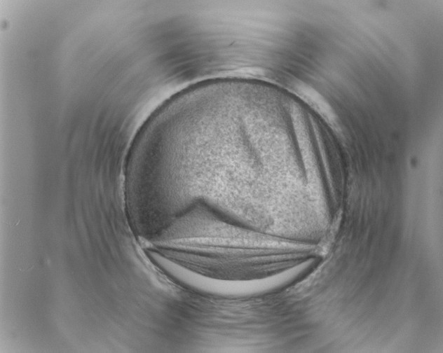 X0000088401332200706121225