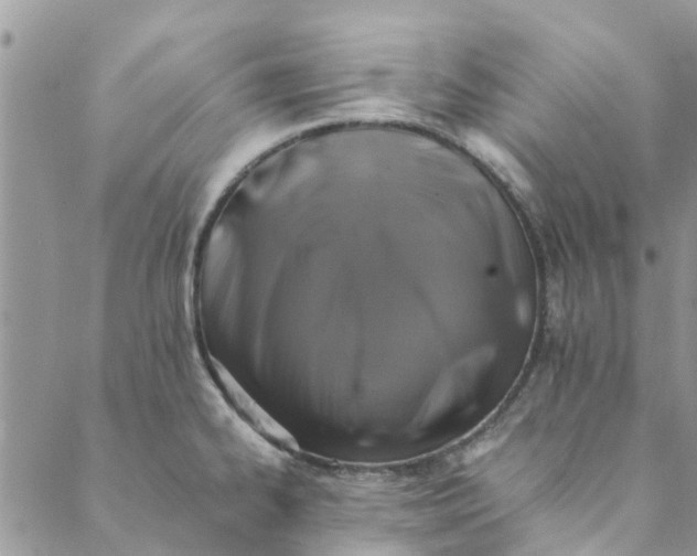 X0000088401334200706121225