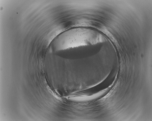 X0000088401337200706121225