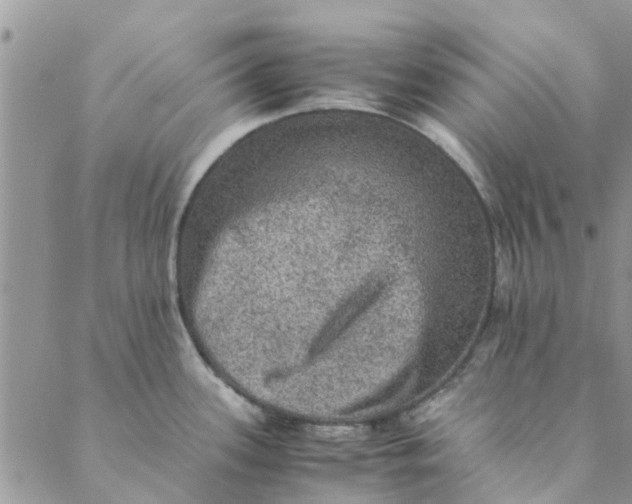 X0000088401339200706121225