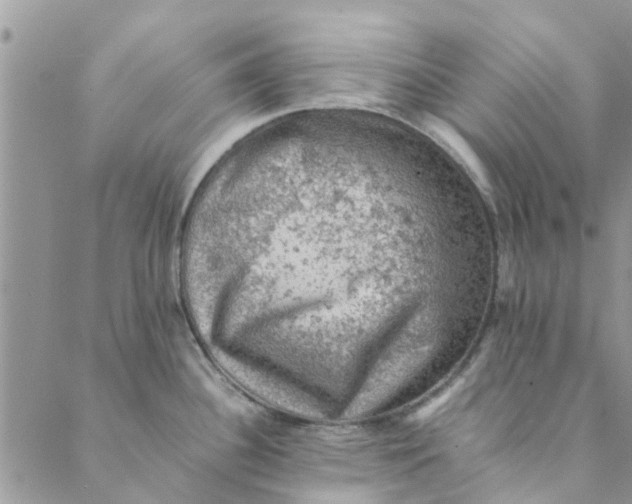 X0000088401340200706121225