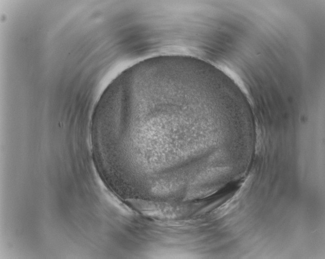 X0000088401342200706121225