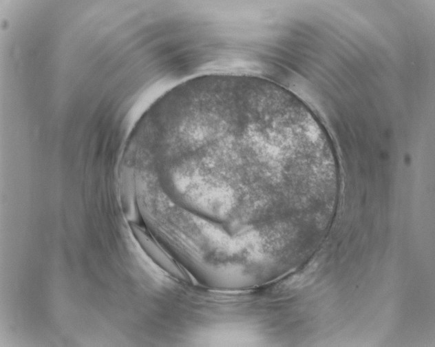 X0000088401344200706121225