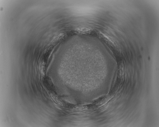 X0000088401346200706121225