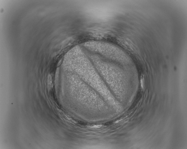 X0000088401347200706121225