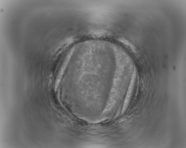 X0000088401349200706121225