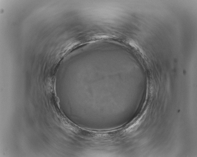 X0000088401353200706121224