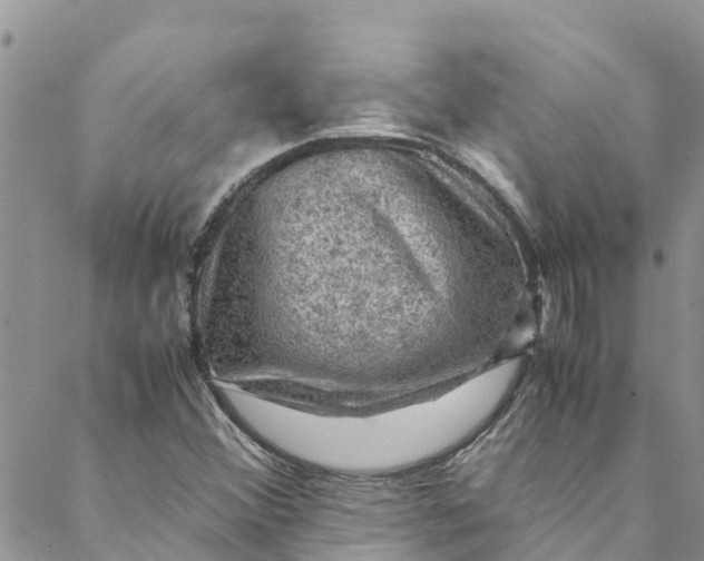 X0000088401356200706121224