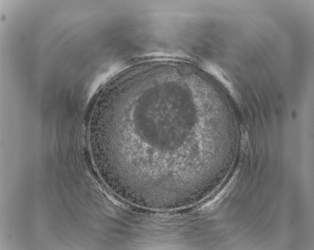 X0000088401357200706121224