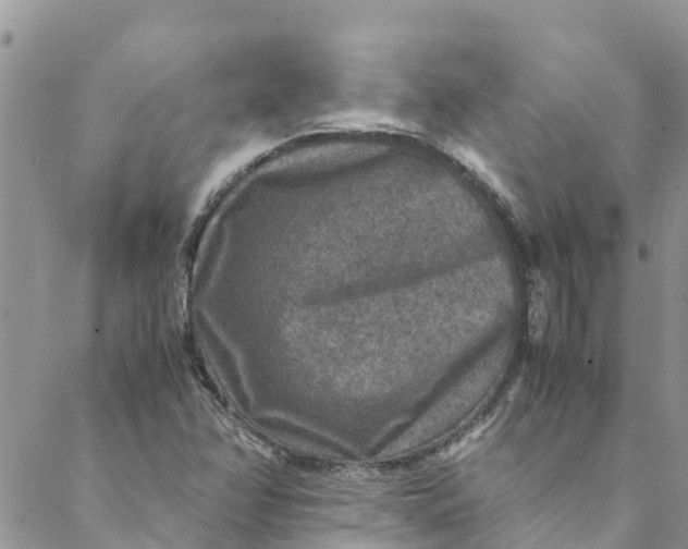 X0000088401358200706121224