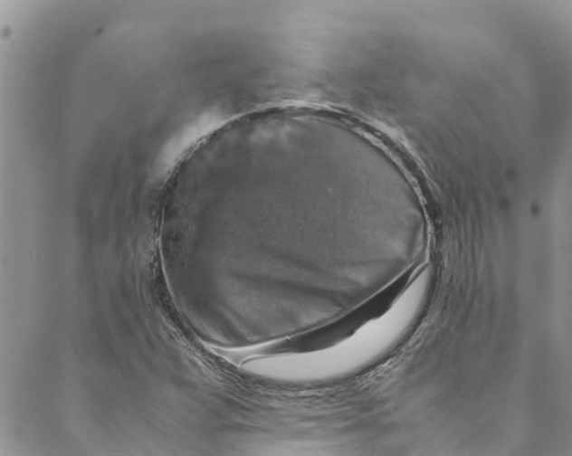 X0000088401359200706121224