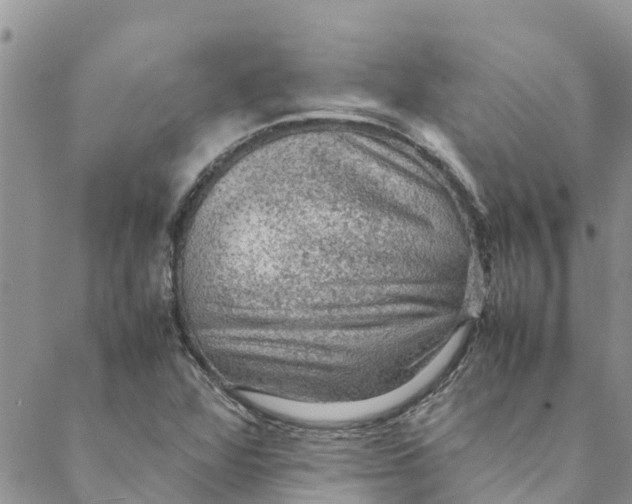 X0000088401360200706121224