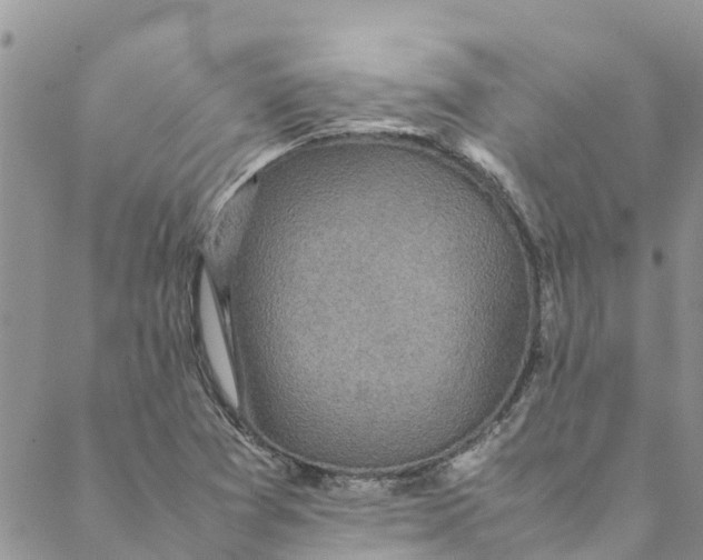 X0000088401361200706121224