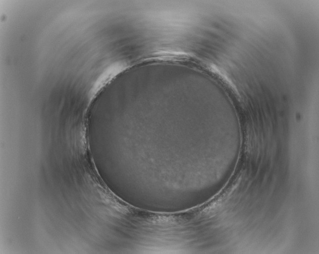 X0000088401362200706121224