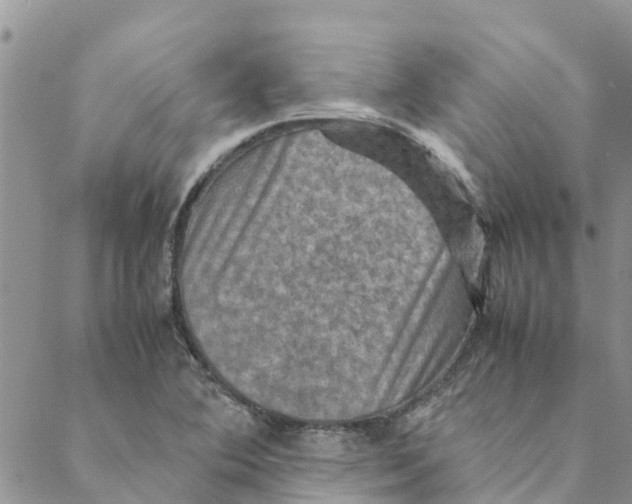 X0000088401364200706121224