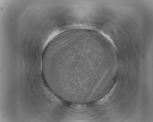 X0000088401365200706121224