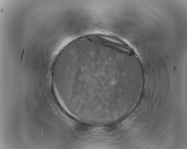 X0000088401367200706121224