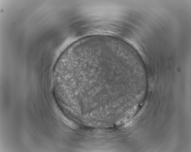 X0000088401371200706121224