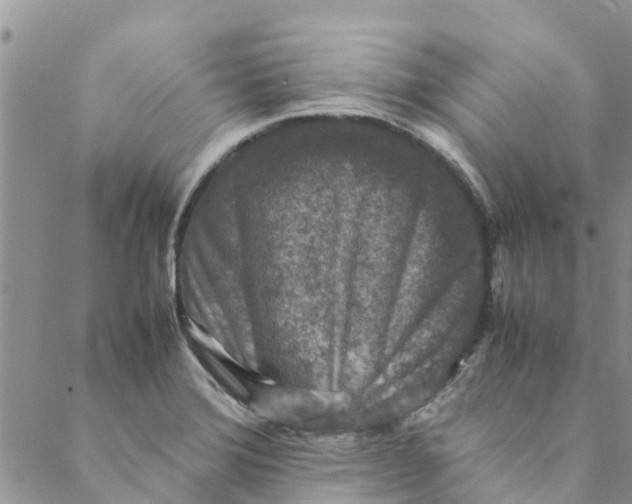 X0000088401372200706121224