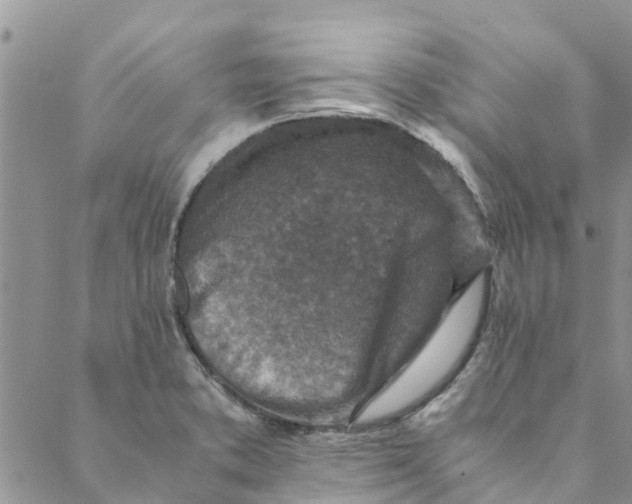 X0000088401373200706121224