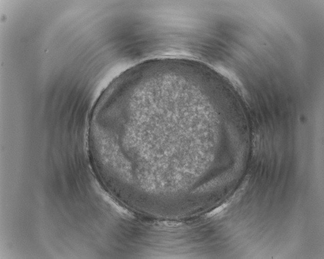 X0000088401374200706121224