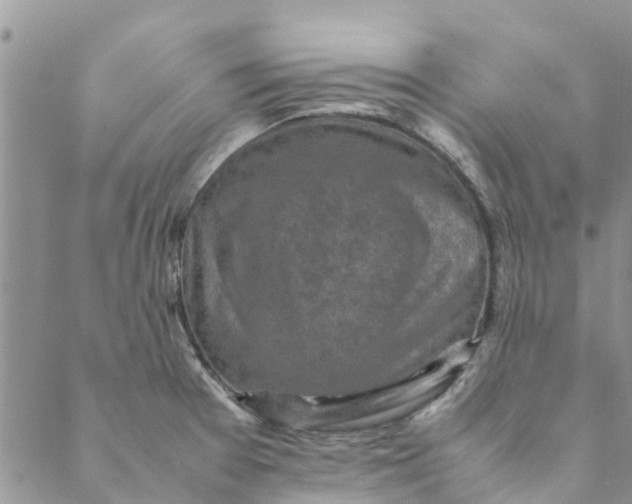 X0000088401377200706121224