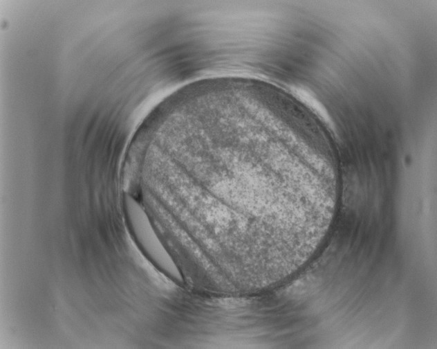 X0000088401380200706121224