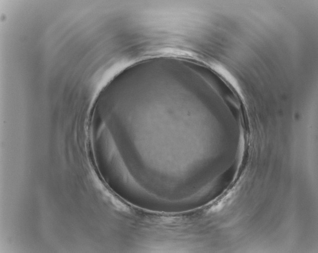 X0000088401381200706121224