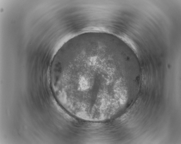 X0000088401382200706121224