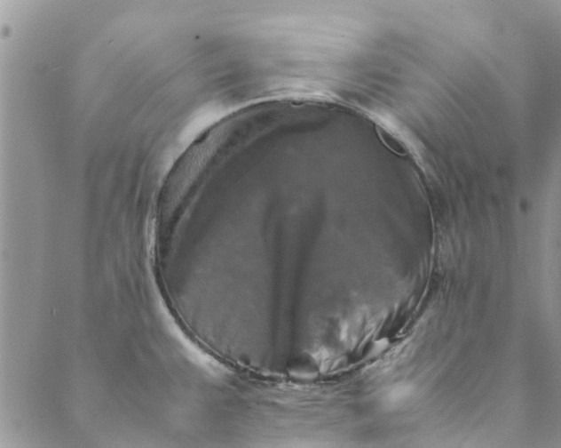 X0000088401383200706121224