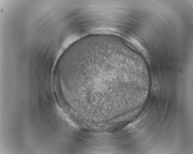 X0000088401384200706121224