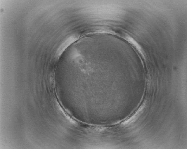 X0000088401385200706121224