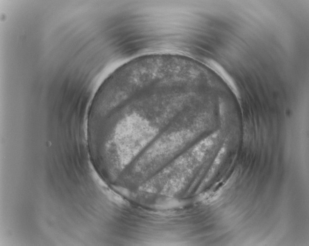 X0000088401388200706121224