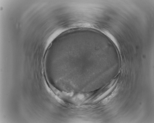 X0000088401389200706121224