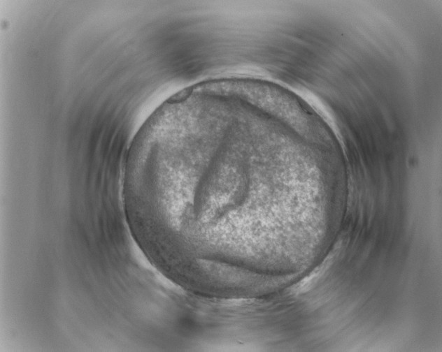 X0000088401390200706121224