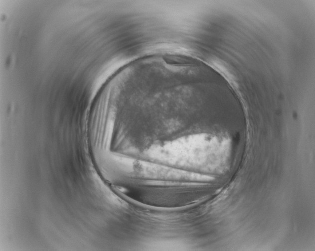 X0000088401392200706121224