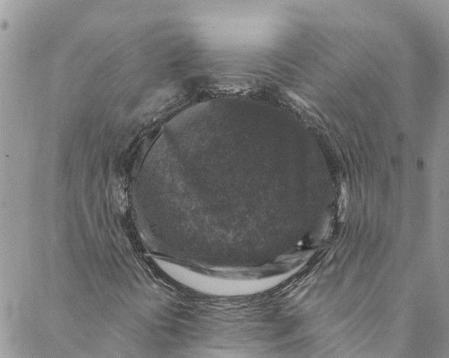 X0000088401394200706121223