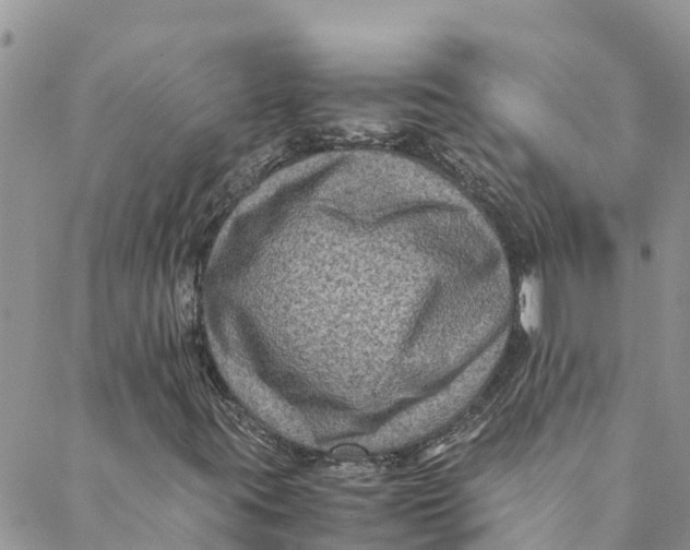 X0000088401395200706121223