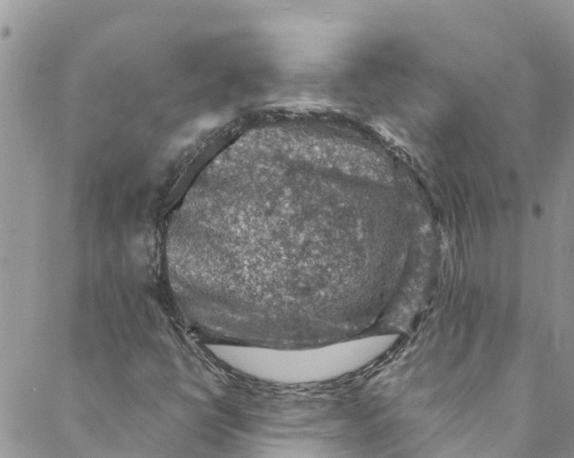 X0000088401398200706121223