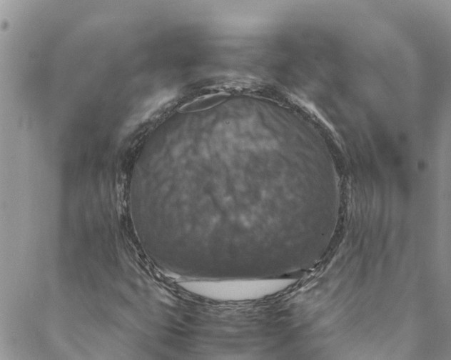 X0000088401399200706121223