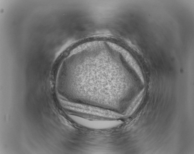 X0000088401400200706121223