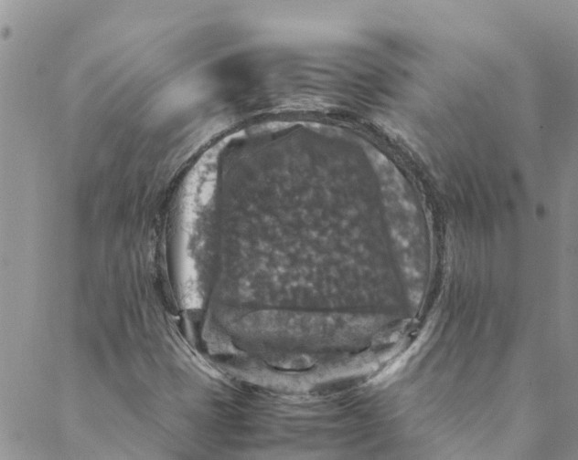 X0000088401401200706121223