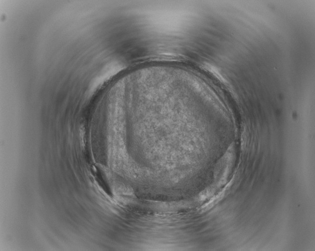 X0000088401402200706121223